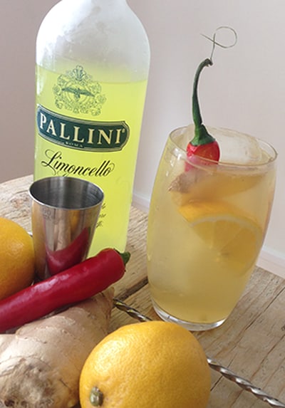 inhalen Fruit groente Verborgen Pallini Limoncello: Italiaanse citroenlikeur | Gall & Gall